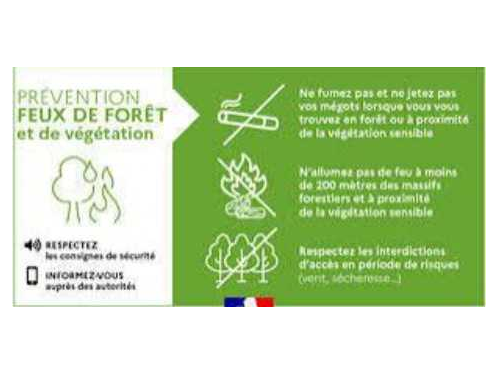 Image par défaut
