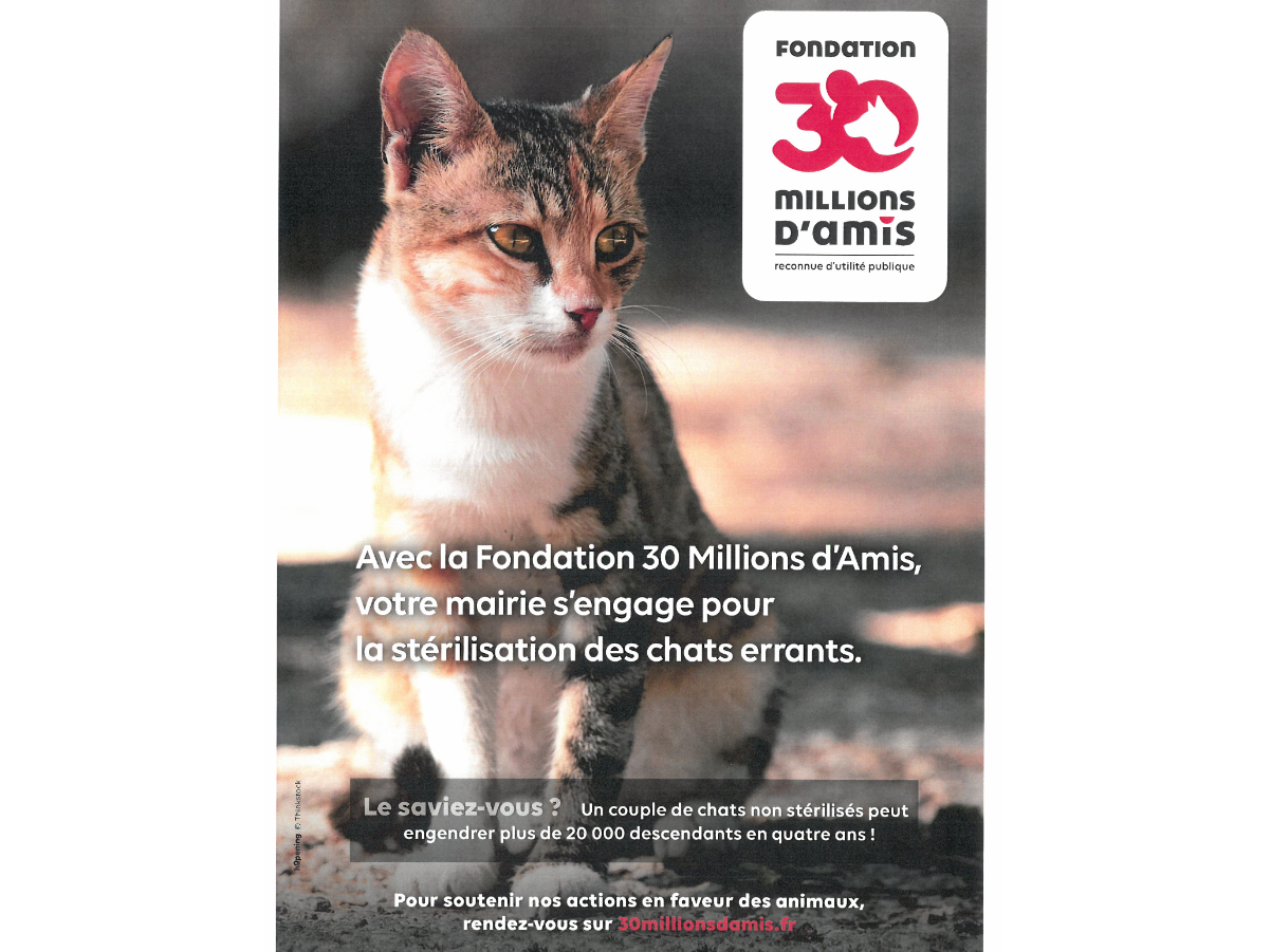 Image par défaut