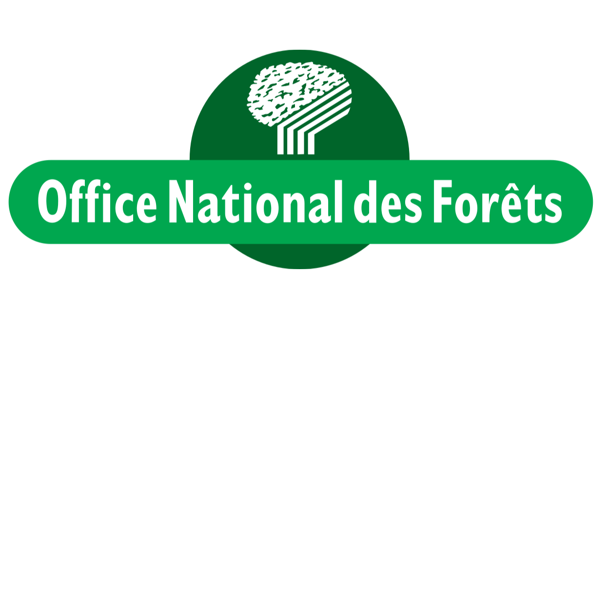 Image par défaut