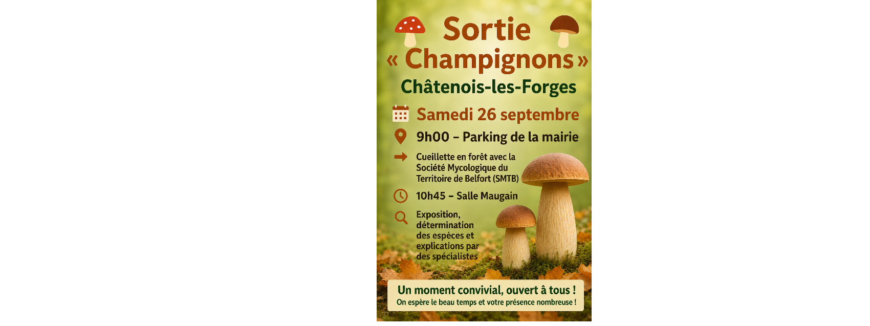 Sortie champignons