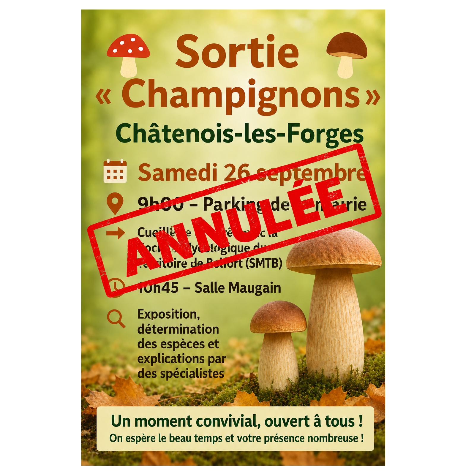 Image par défaut
