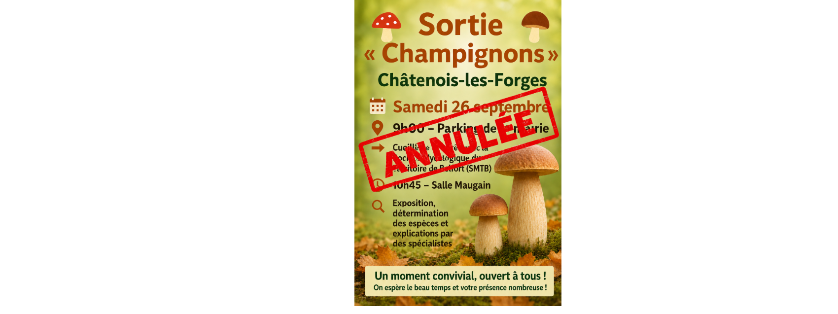 Sortie champignons
