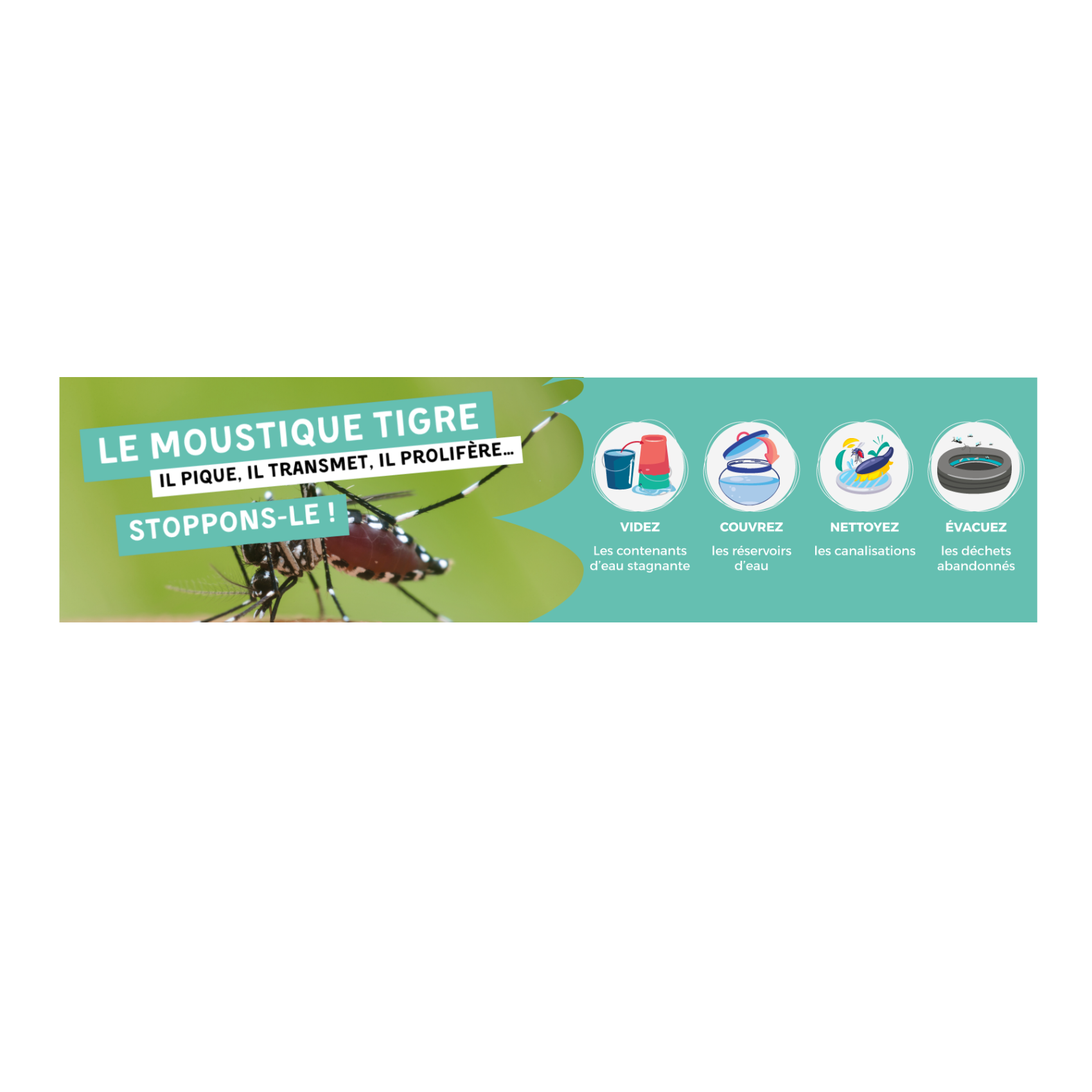 Image par défaut