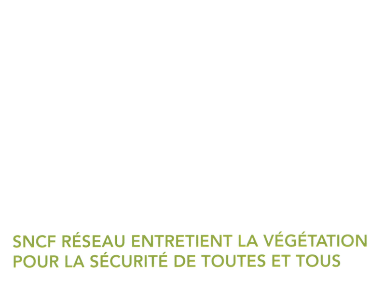 Image par défaut