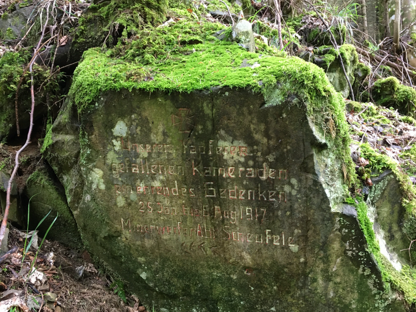 Image par défaut