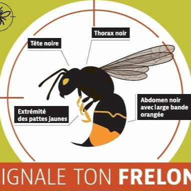 Image par défaut