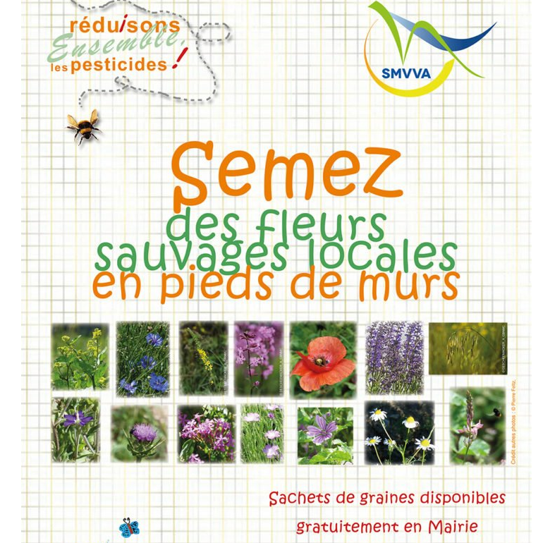 Image par défaut