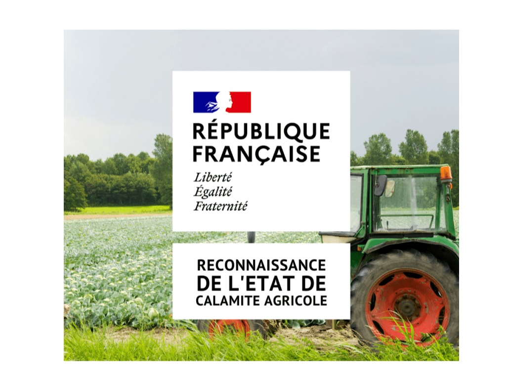 Image par défaut
