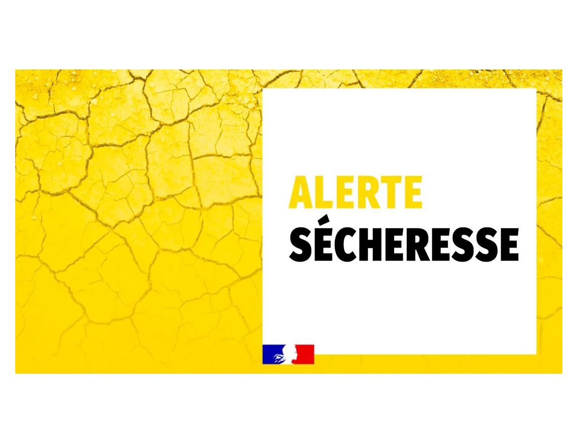 Image par défaut