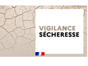 Image par défaut