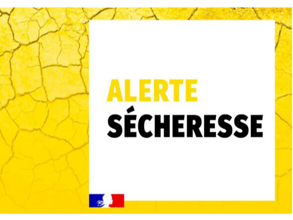 Image par défaut