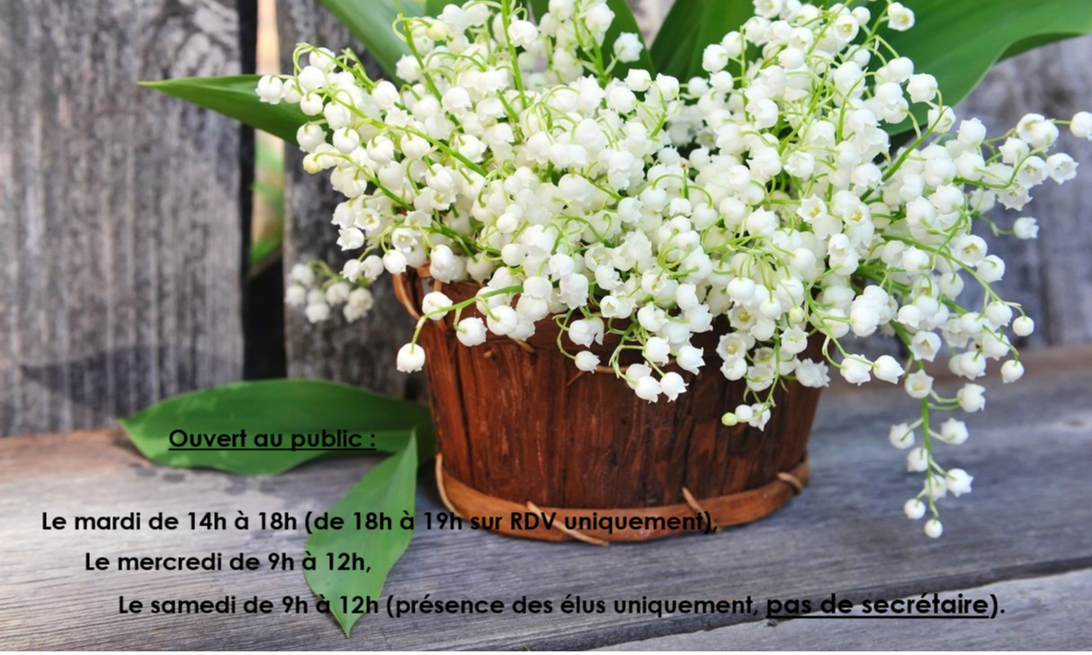 Bienvenue