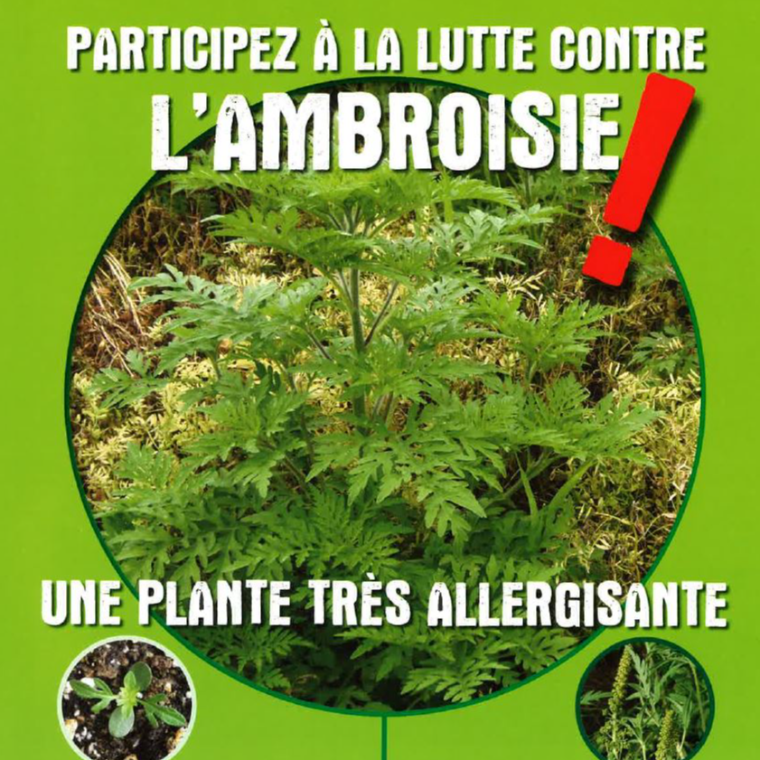 Image par défaut