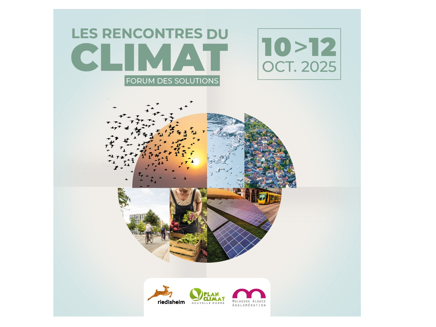 Image par défaut