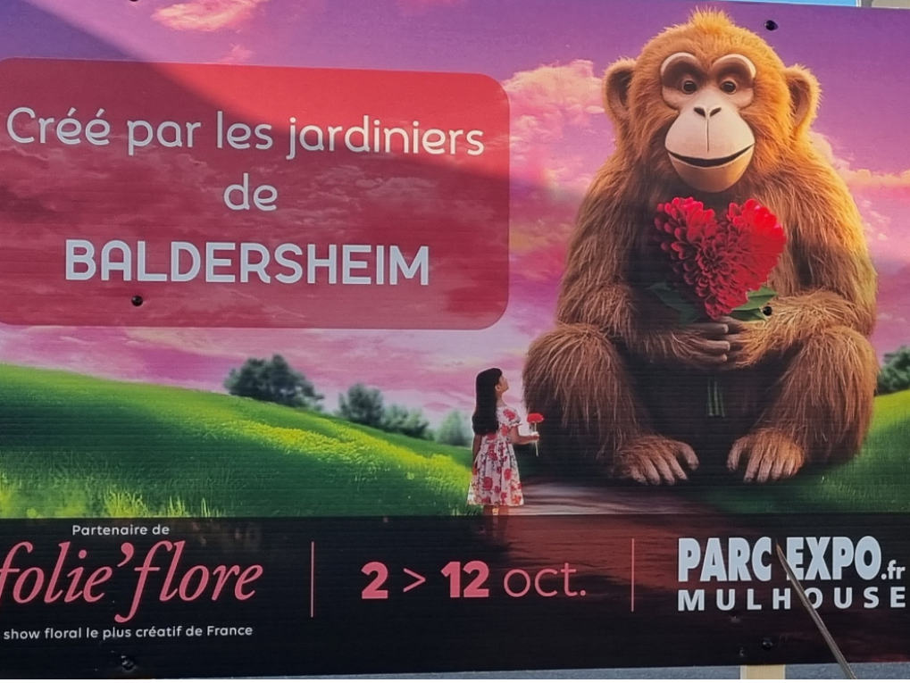 Image par défaut