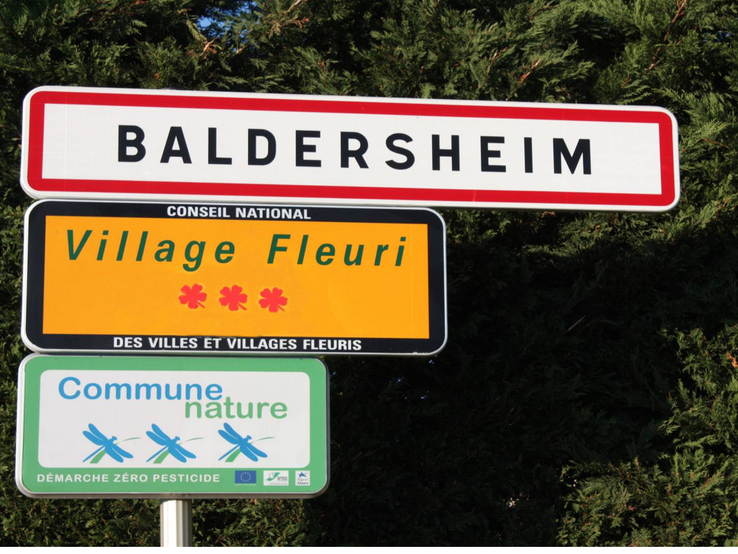 Image par défaut