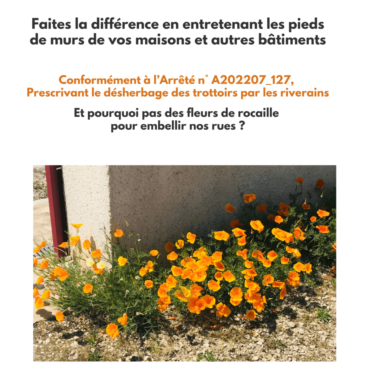 Image par défaut