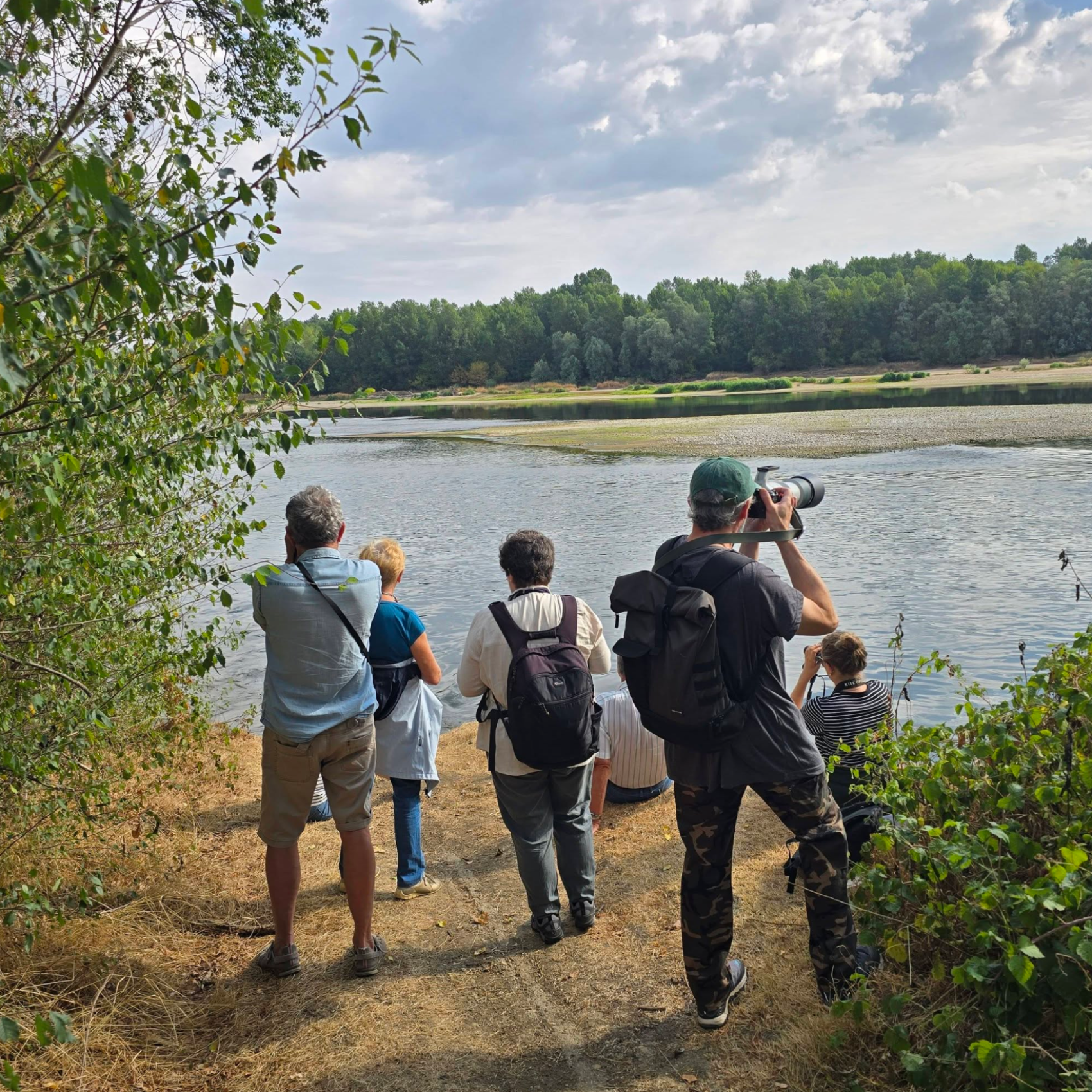 Sortie oiseaux des bords de Loire