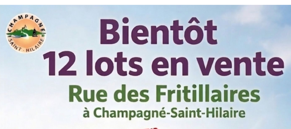 Futur lotissement