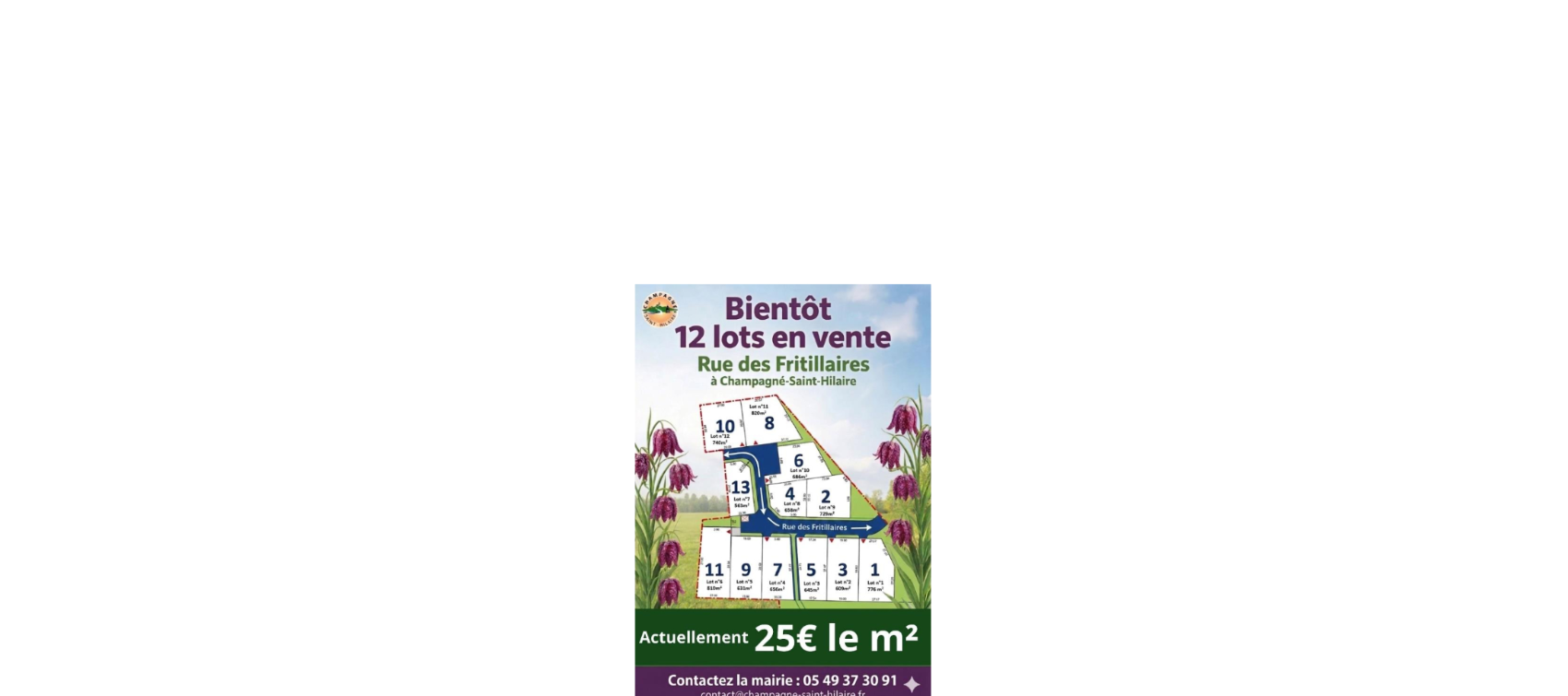 Futur lotissement