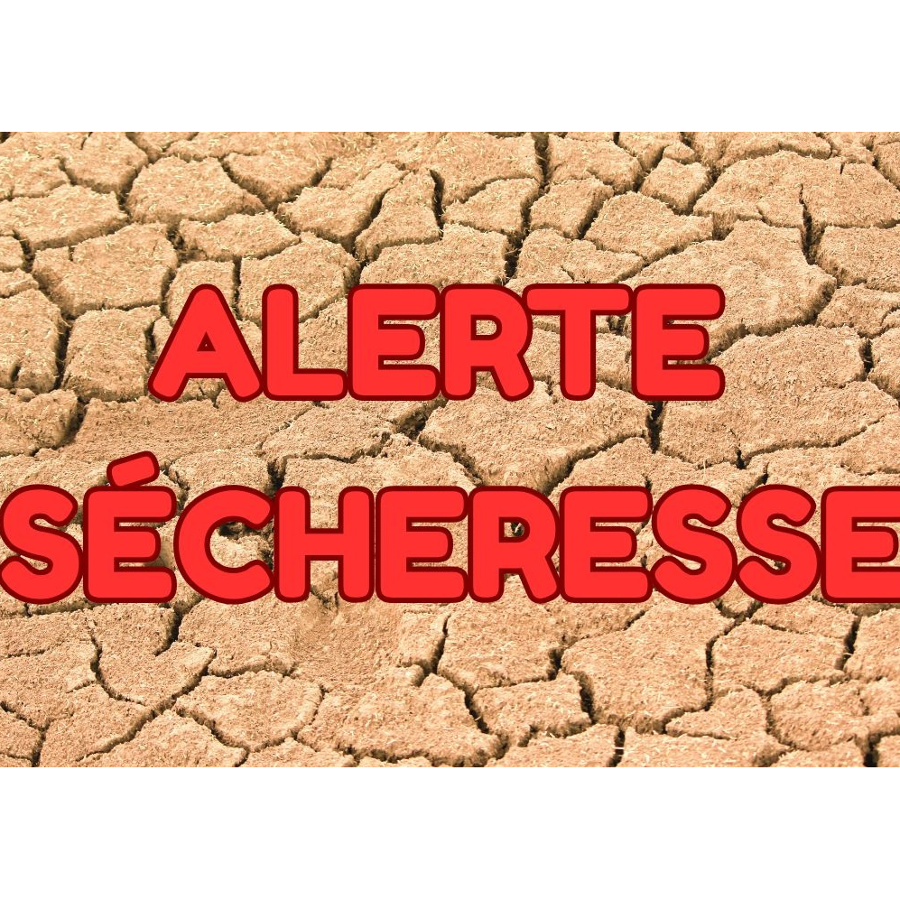 Image par défaut