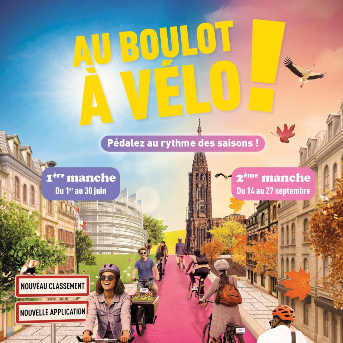 Image par défaut