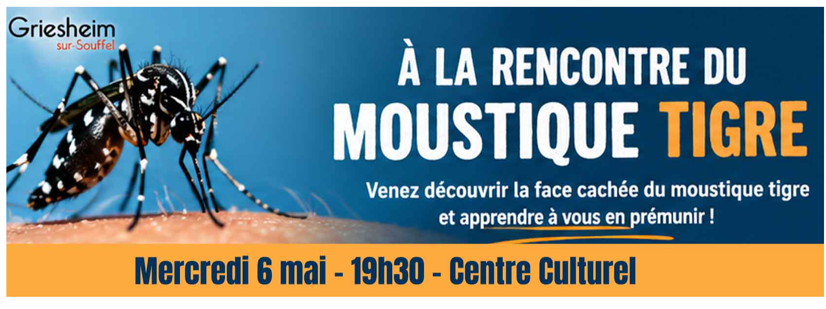 Tous contre le Moustique Tigre