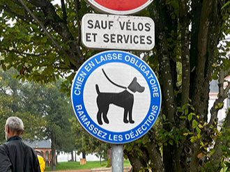 Image par défaut
