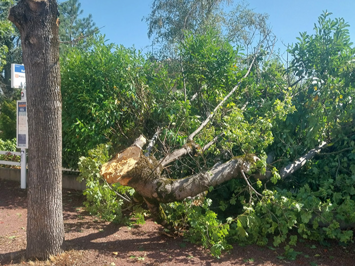 Image par défaut