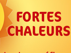 Image par défaut