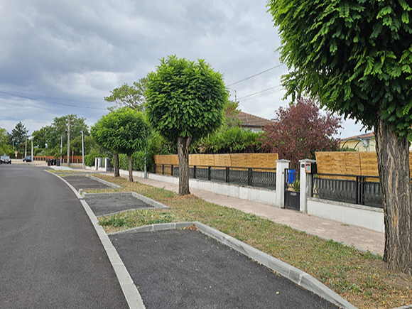 Image par défaut
