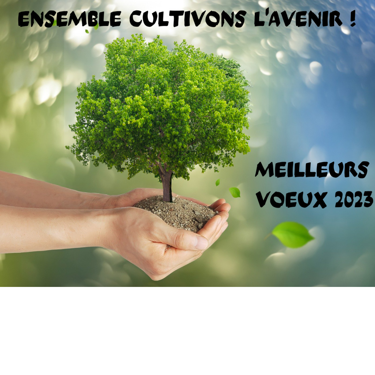 Image par défaut