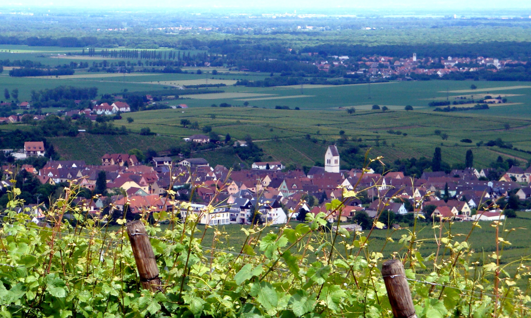 Bienvenue sur le site officiel de Mittelwihr