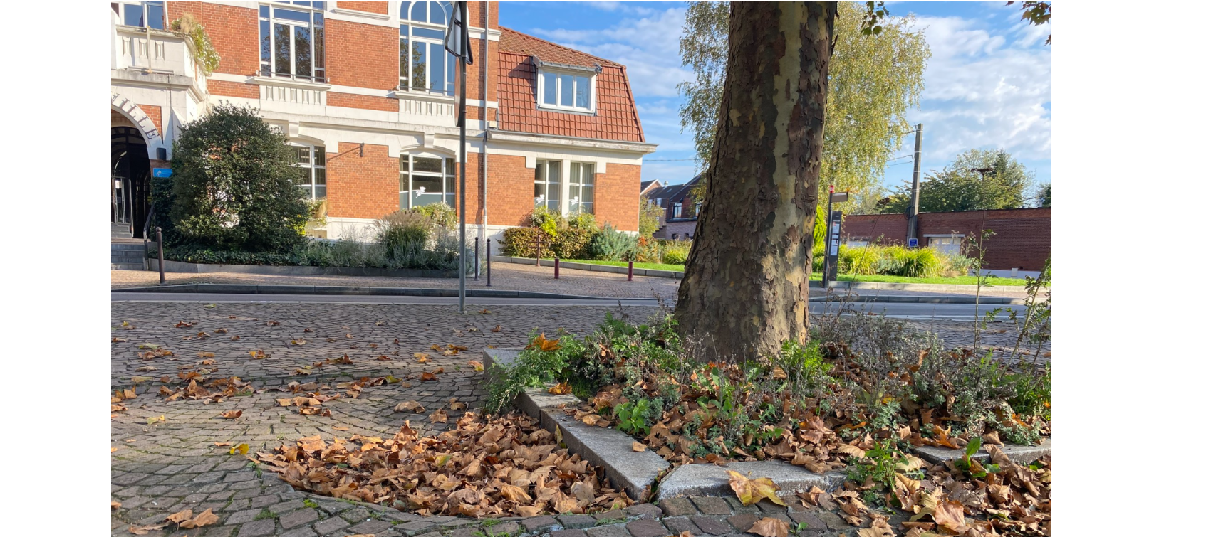 Travaux place du Général de Gaulle