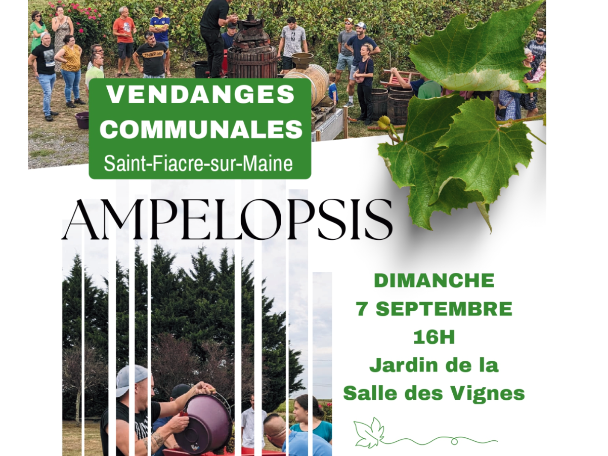 Image par défaut