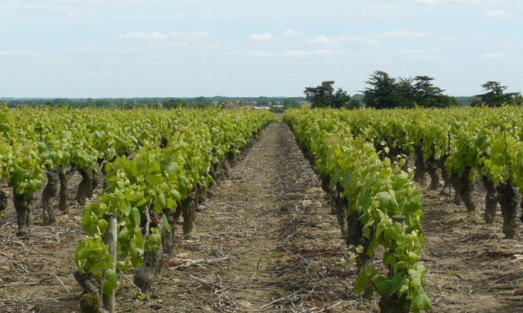 Saint Fiacre sur Maine