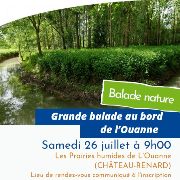 Image par défaut