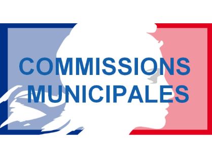 commissions-municipales-boe.jpg
