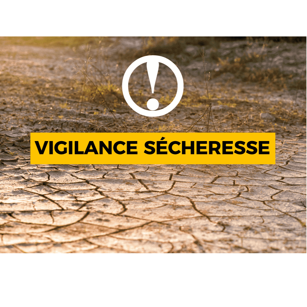 Image par défaut