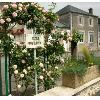 Image par défaut