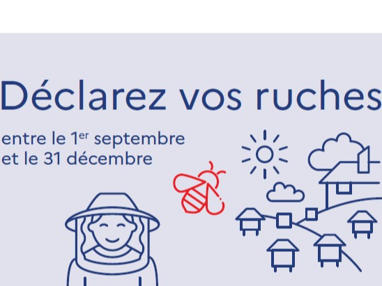 Image par défaut