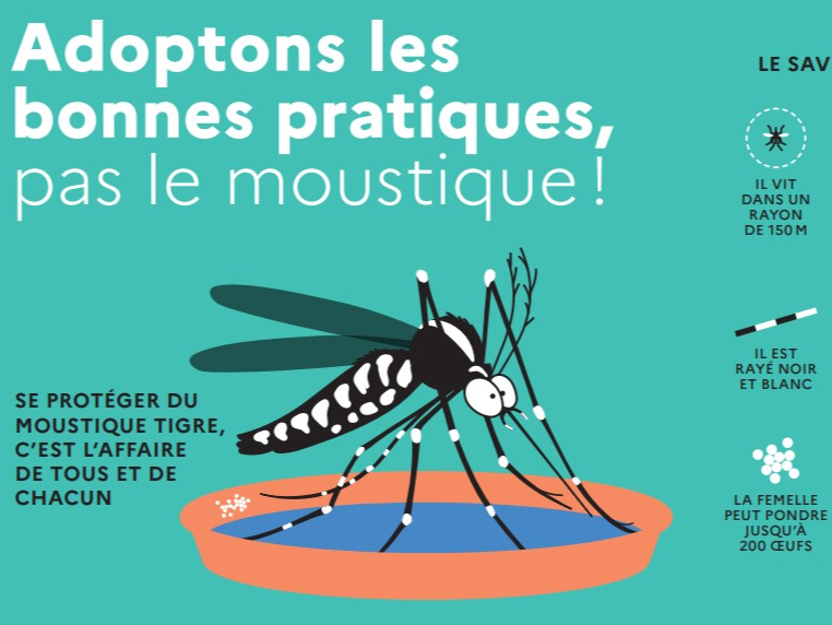 Image par défaut