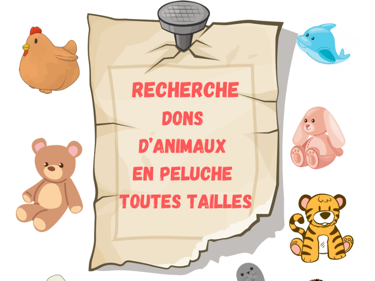 Image par défaut