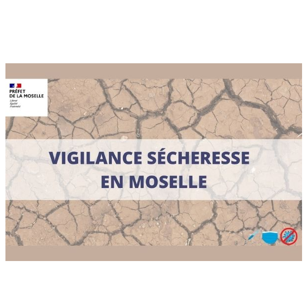 Image par défaut