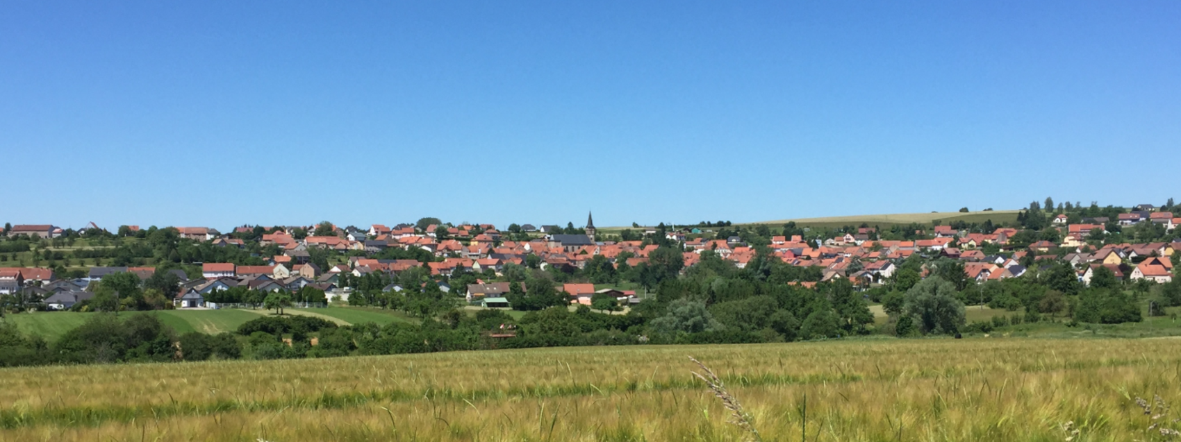 Bienvenue sur le site officiel de Bining