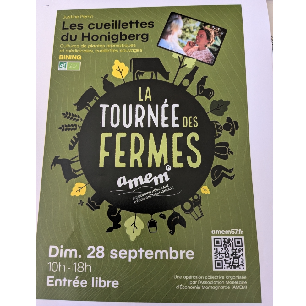 Image par défaut