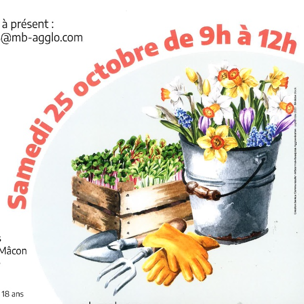 Image par défaut