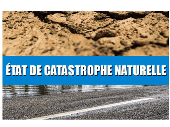 Image par défaut