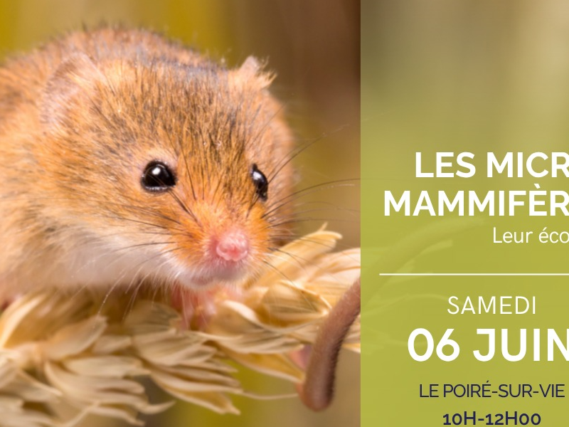 Image par défaut