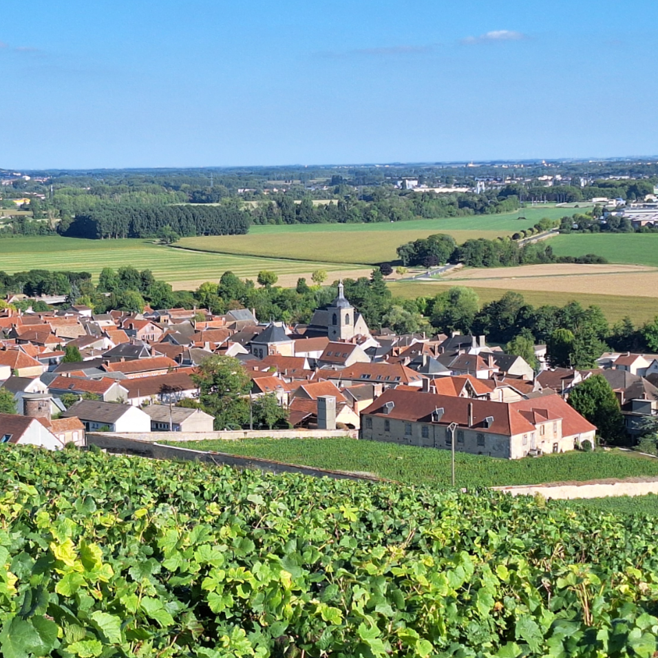 Image par défaut